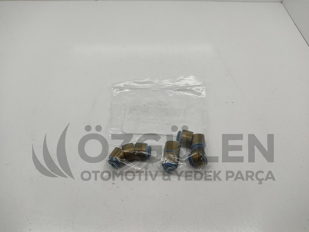  �r�n Foto�raf� - 2