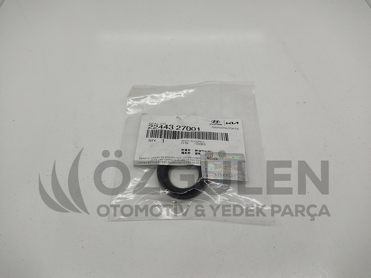 KE�E ENJEKT�R ACCENT GETZ TUCSON �r�n Foto�raf�