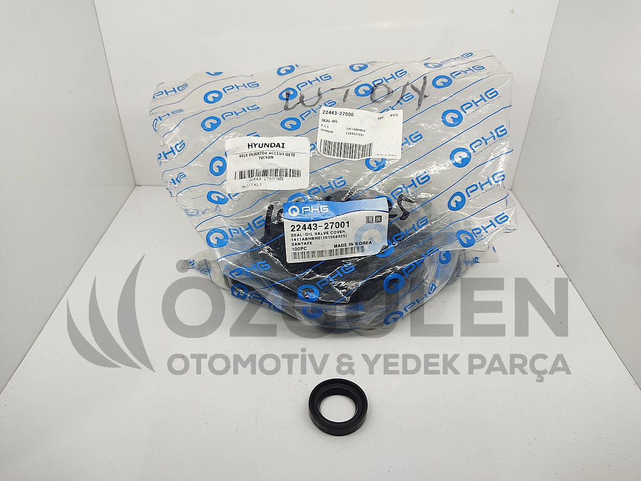 KE�E ENJEKT�R ACCENT GETZ TUCSON �r�n Foto�raf�