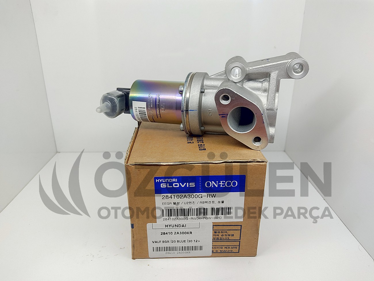  �r�n Foto�raf� - 2