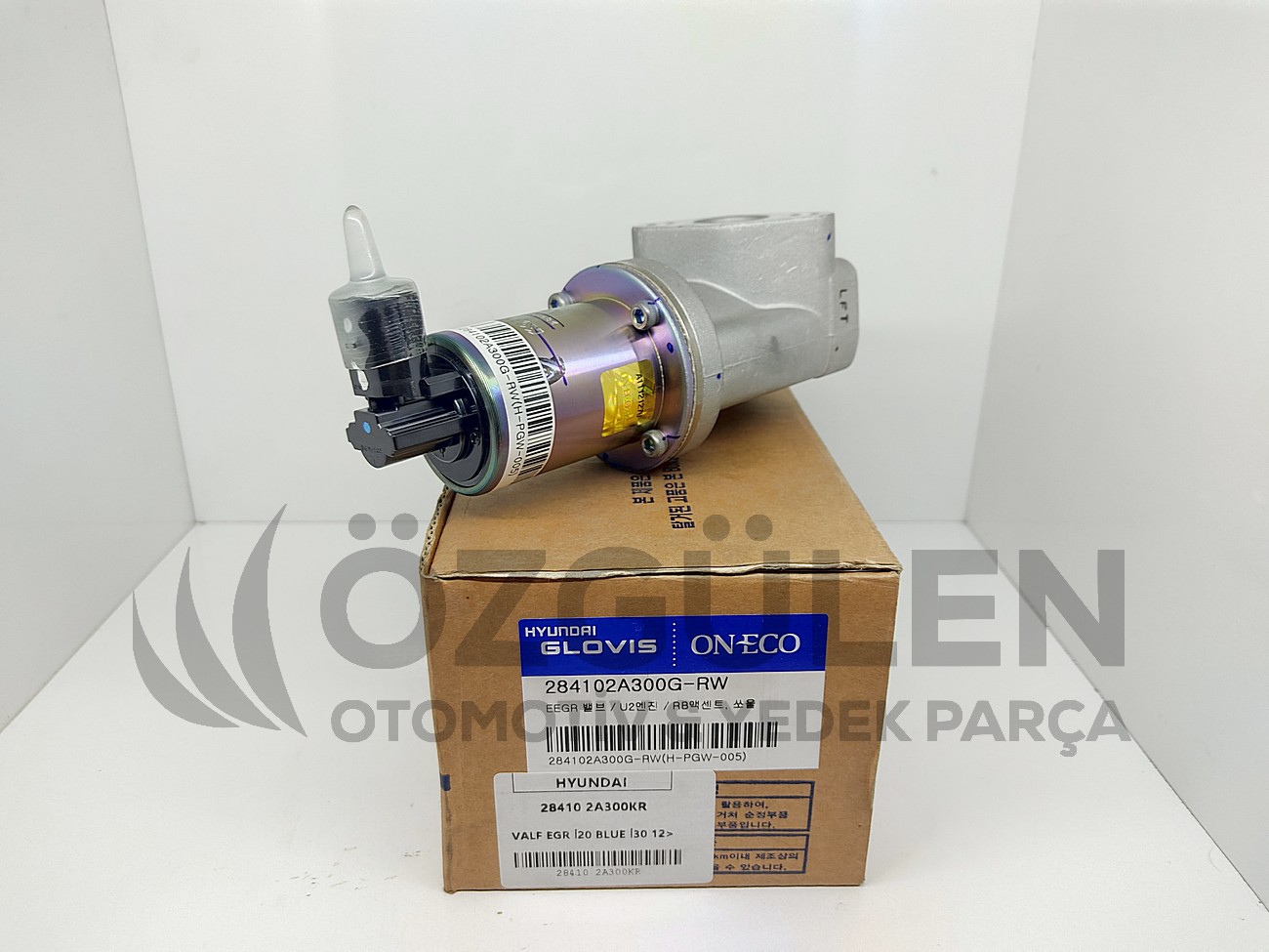  �r�n Foto�raf� - 3