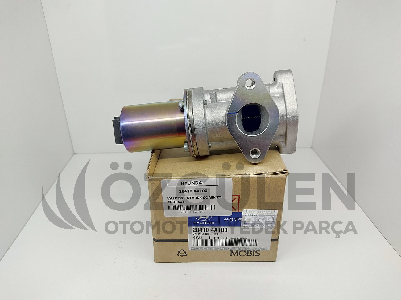  �r�n Foto�raf� - 2