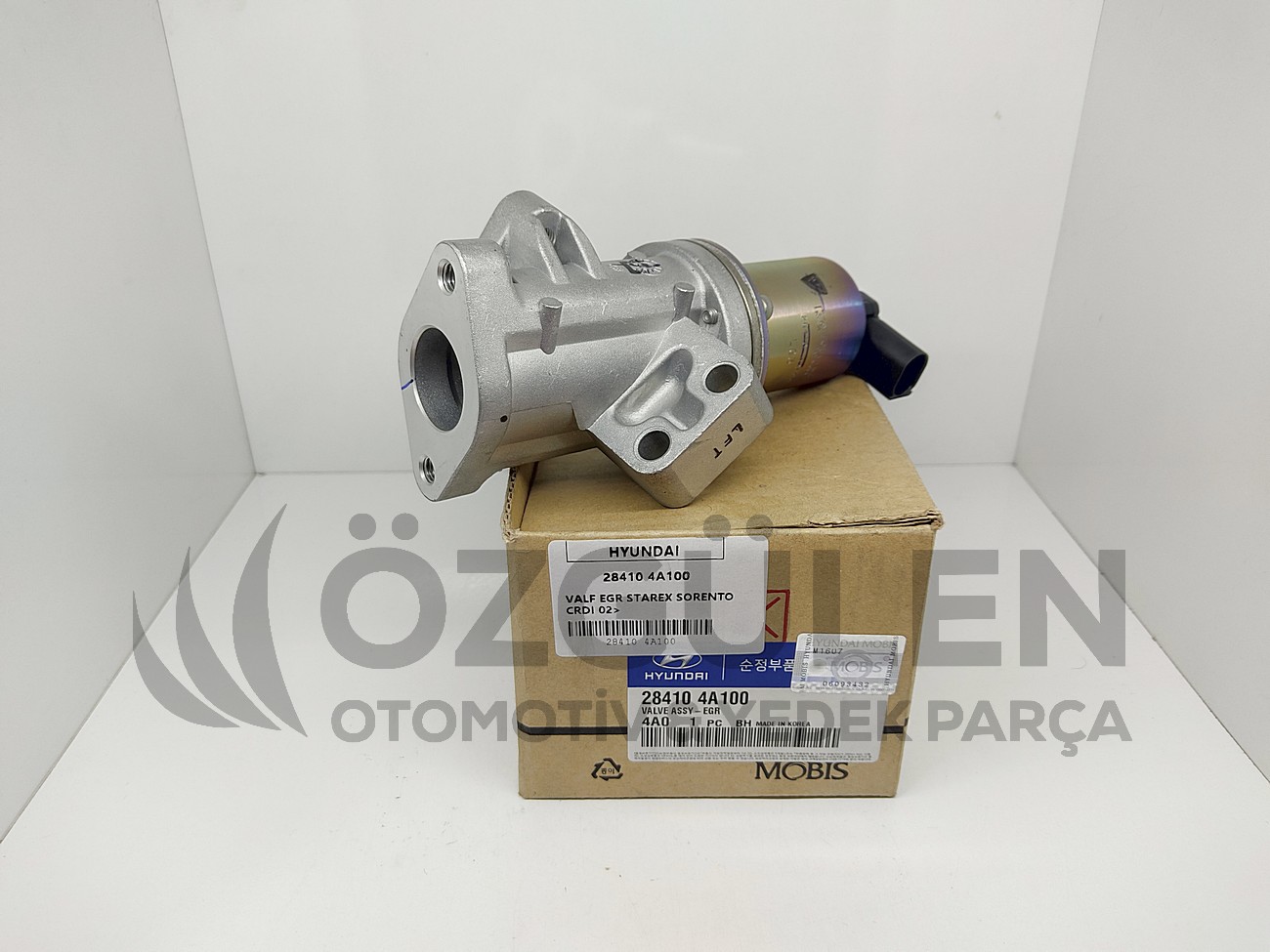  �r�n Foto�raf� - 3