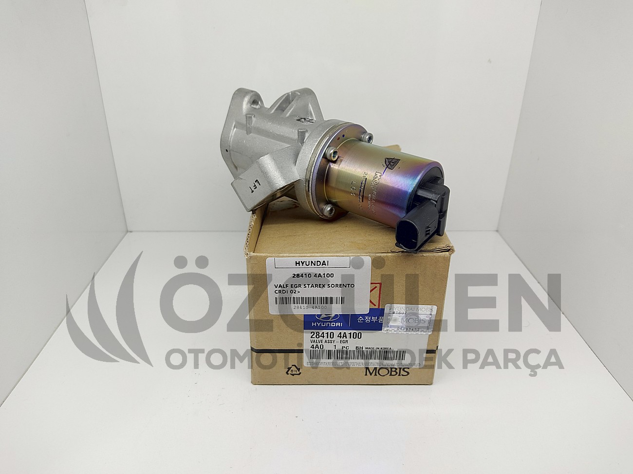  �r�n Foto�raf� - 4