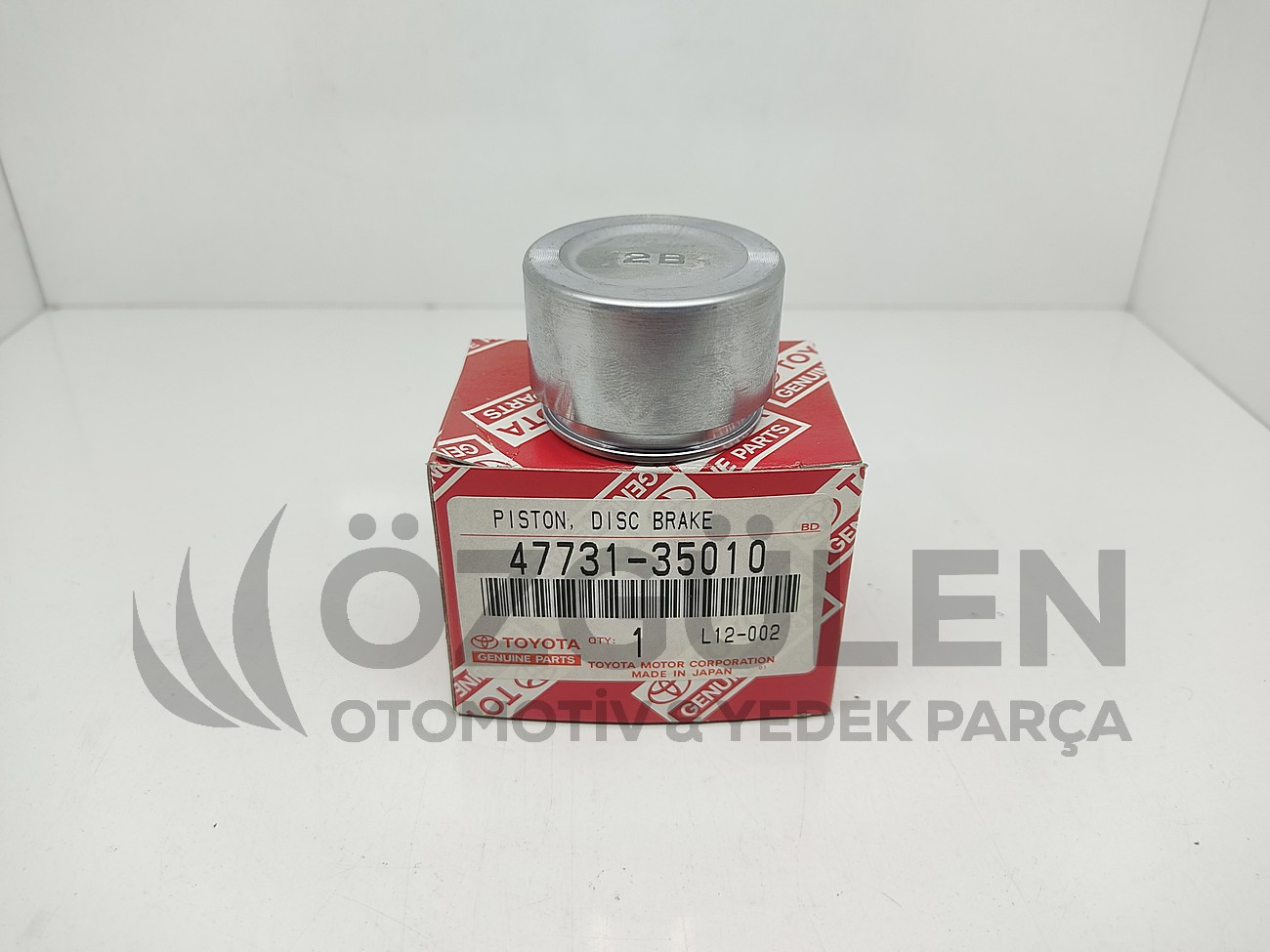 P�STON KAL�PER �N LN105 LN106 �AP 42 �r�n Foto�raf�