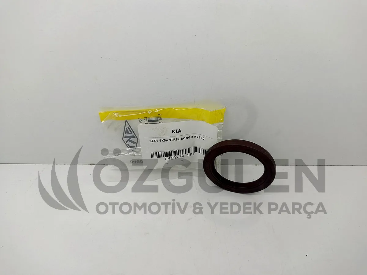 KE�E EKSANTR�K BONGO K2900 �r�n Foto�raf� - 4