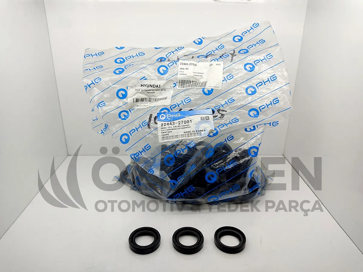 KE�E ENJEKT�R ACCENT GETZ TUCSON �r�n Foto�raf�