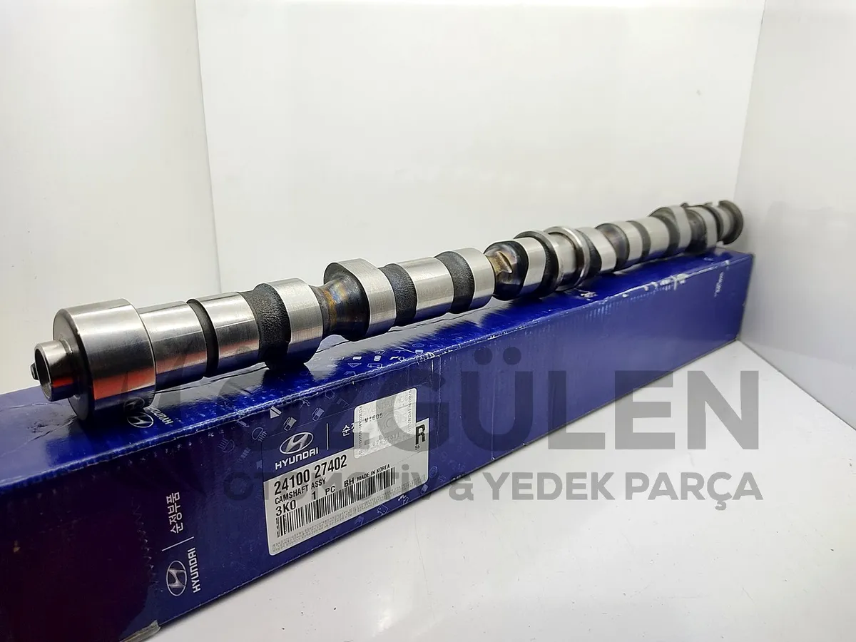 M�L EKSANTR�K SANTAFE TCI 2.2 06> �r�n Foto�raf�