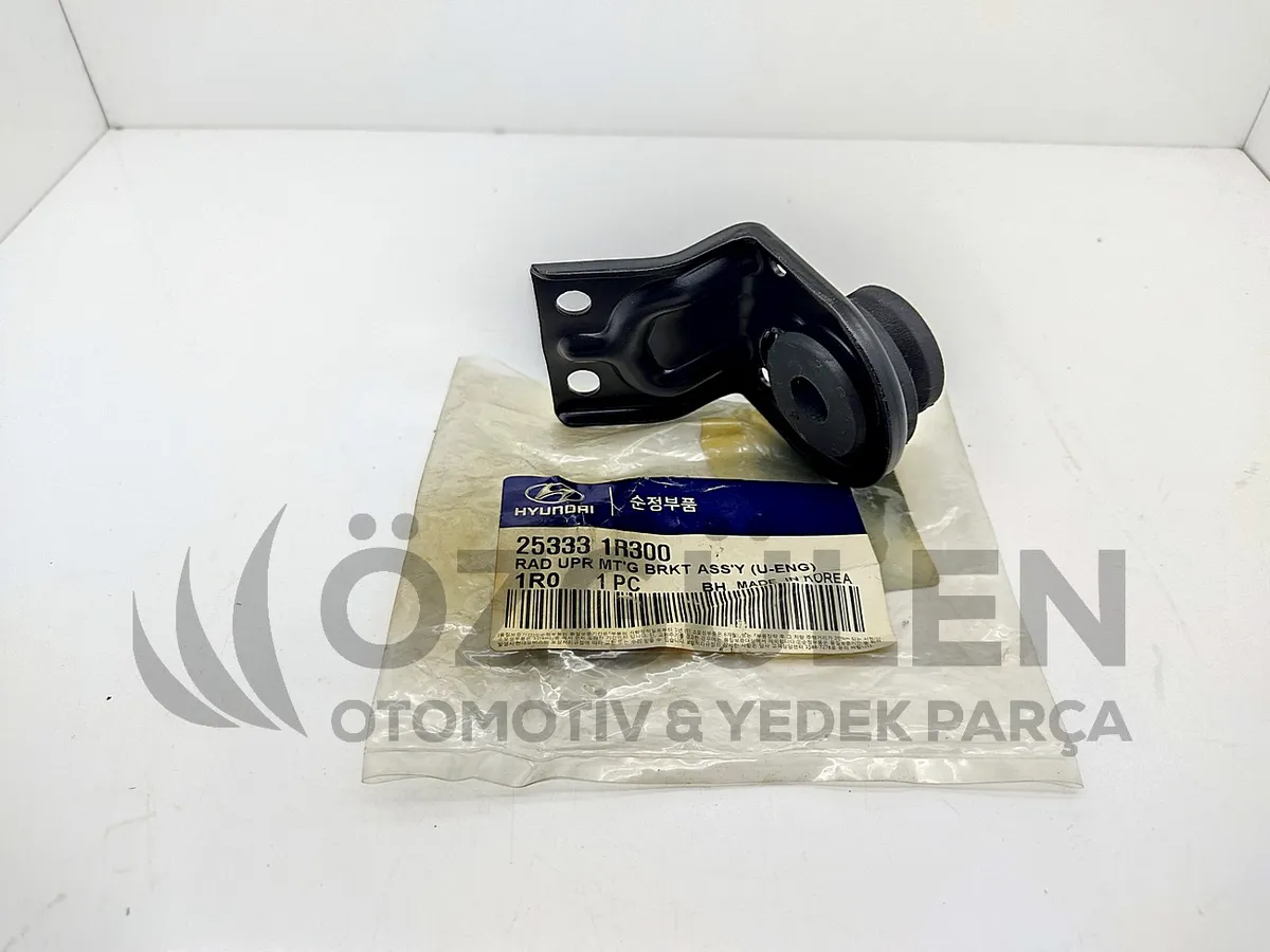 TAKOZ RADYAT�R �ST BLUE 1.6 TDI 11> �r�n Foto�raf�