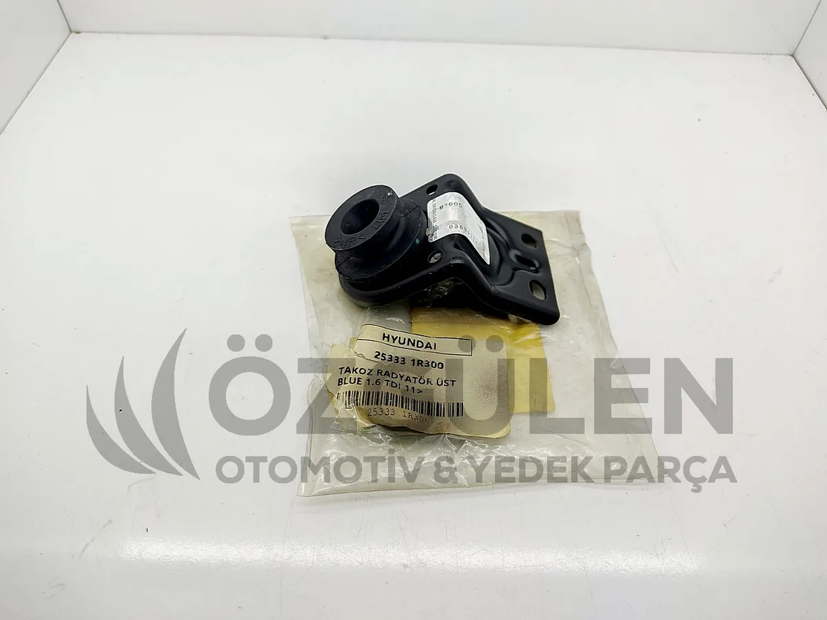 TAKOZ RADYAT�R �ST BLUE 1.6 TDI 11> �r�n Foto�raf� - 2