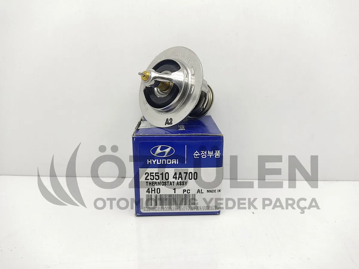 TERMOSTAT HKMY BONGO 2.9 CRD� 09> �r�n Foto�raf�