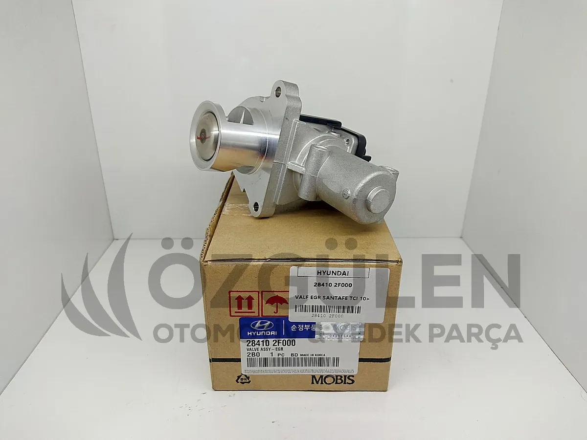 VALF EGR SANTAFE TCI 10> �r�n Foto�raf� - 2