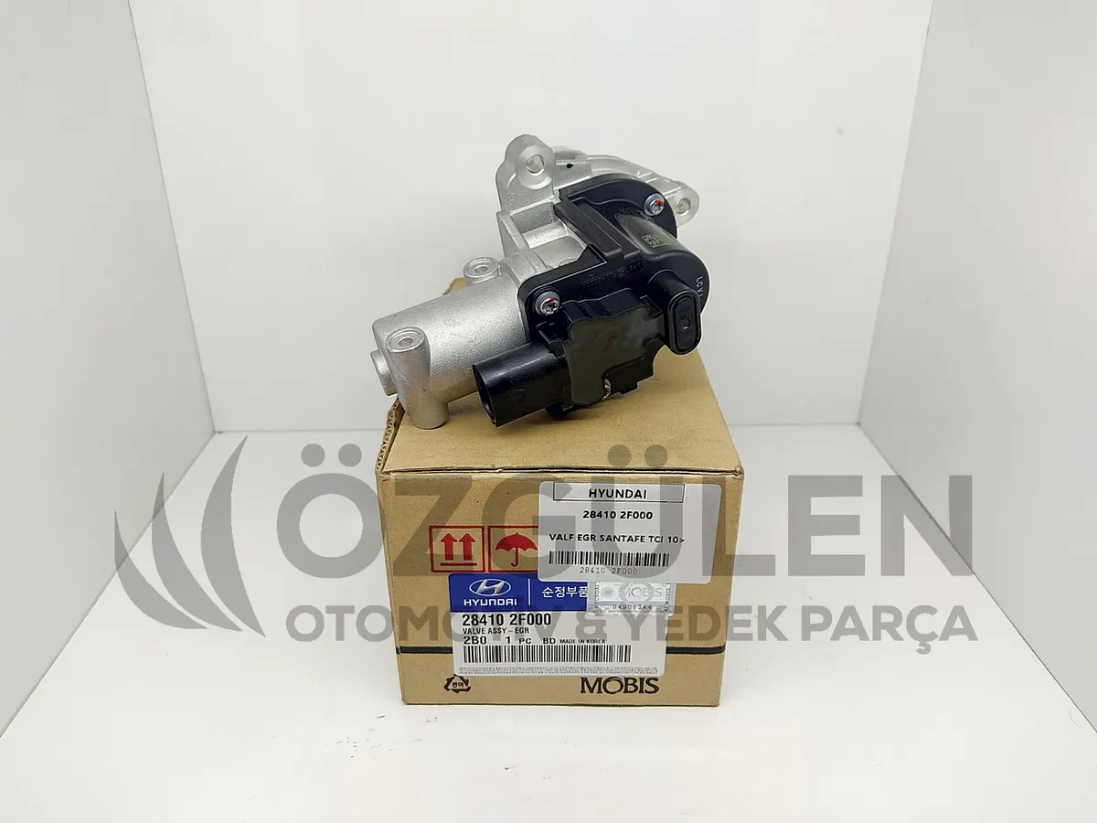 VALF EGR SANTAFE TCI 10> �r�n Foto�raf� - 3