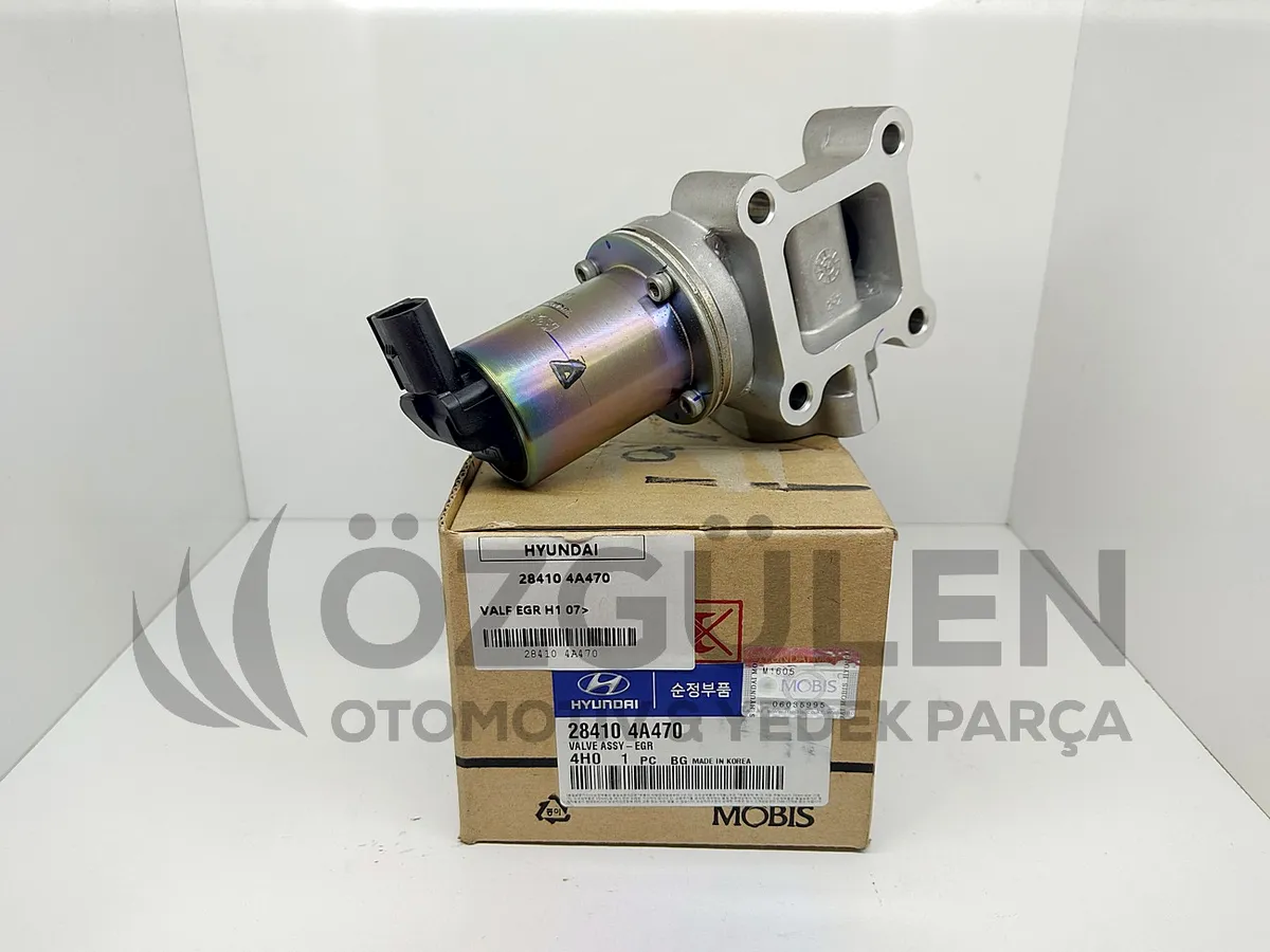 VALF EGR H1 07> �r�n Foto�raf� - 2