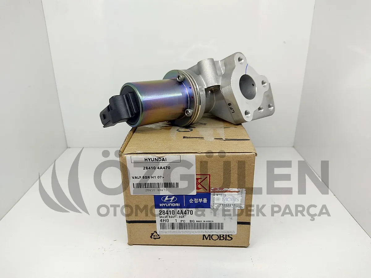 VALF EGR H1 07> �r�n Foto�raf� - 3