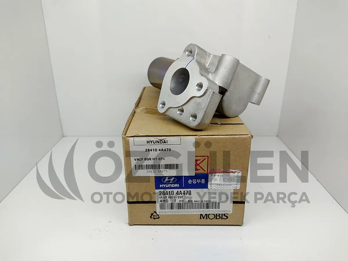 VALF EGR H1 07> �r�n Foto�raf� - 4