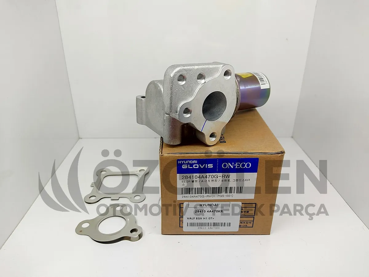 VALF EGR H1 07> �r�n Foto�raf� - 2