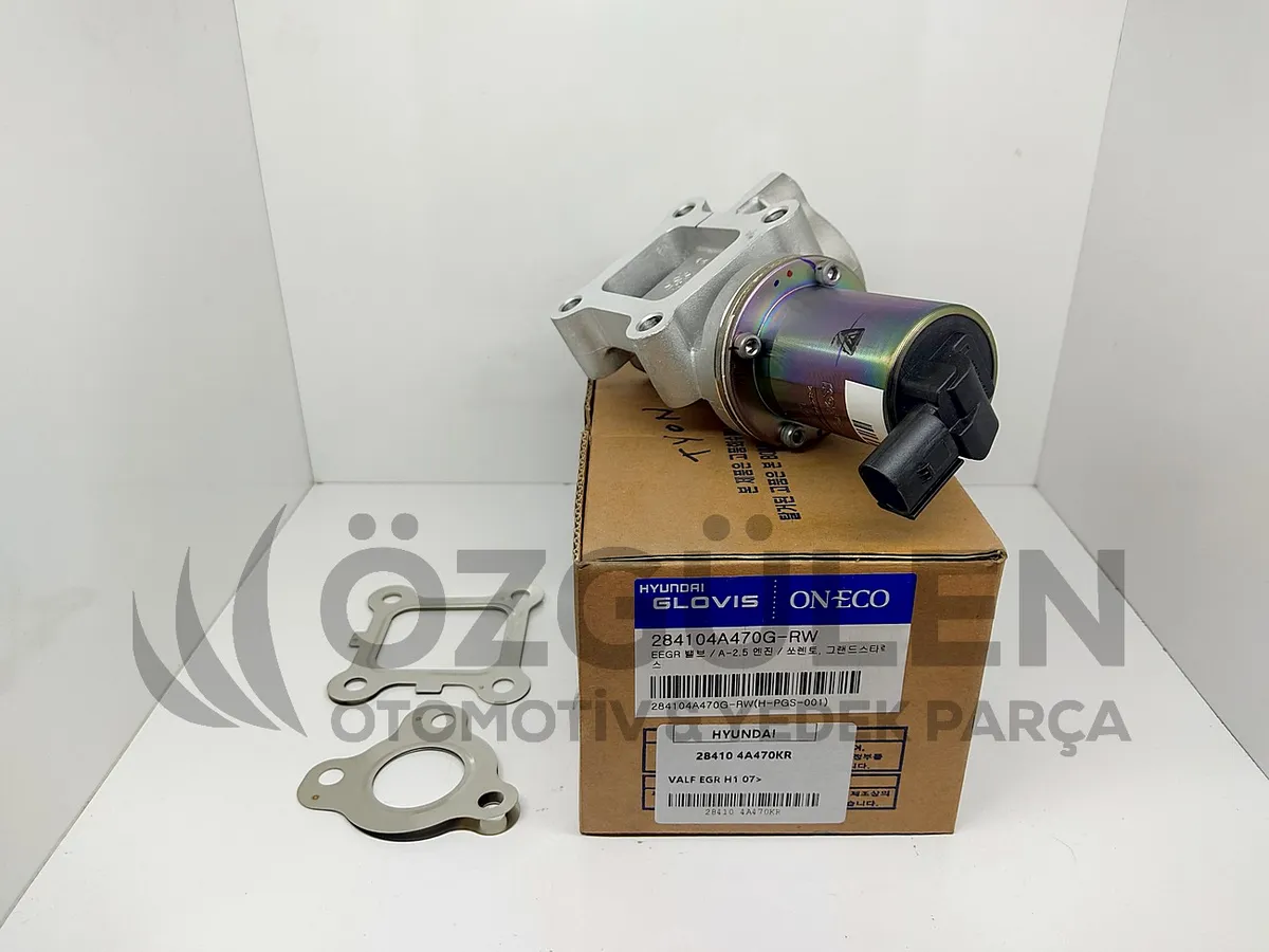 VALF EGR H1 07> �r�n Foto�raf� - 3