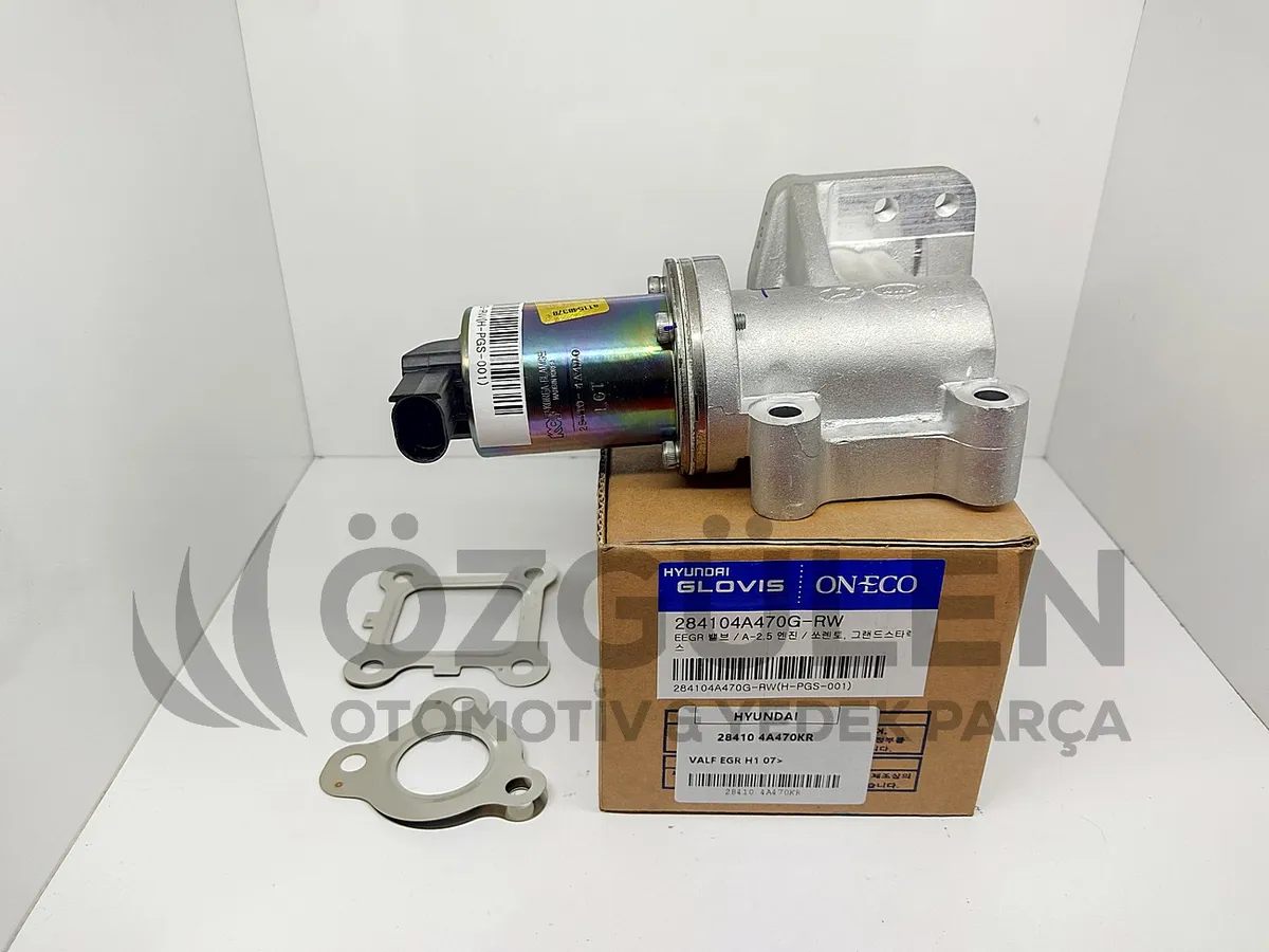 VALF EGR H1 07> �r�n Foto�raf� - 4