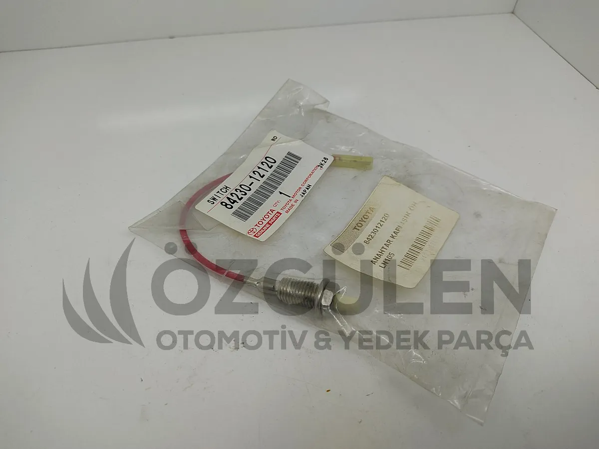 ANAHTAR KAPI I�IK �N LN105 �r�n Foto�raf� - 2